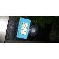 digitale thermometer